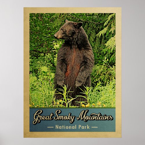 Great Smoky Mountains National Park Bear Poster