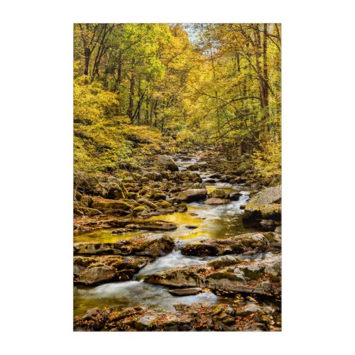 Great Smoky Mountains National Park Big Creek Acrylic Print