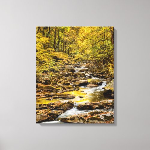 Great Smoky Mountains National Park Big Creek Canvas Print