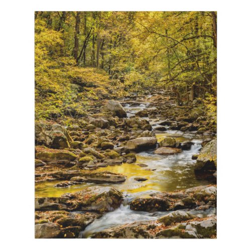 Great Smoky Mountains National Park Big Creek Faux Canvas Print