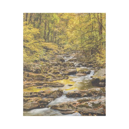 Great Smoky Mountains National Park Big Creek Gallery Wrap
