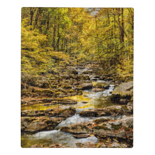 Great Smoky Mountains National Park. Big Creek Jigsaw Puzzle