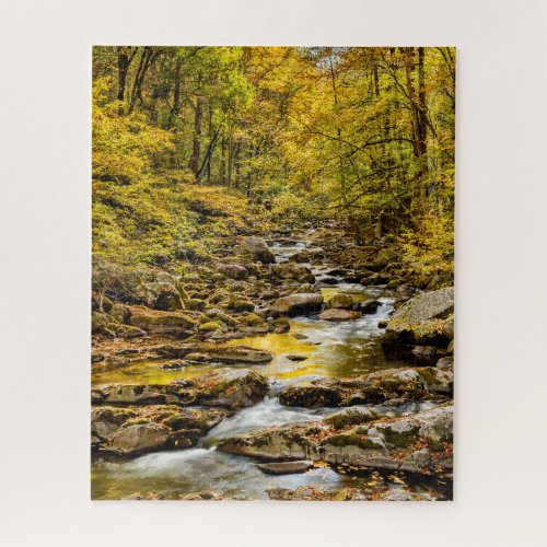 Great Smoky Mountains National Park Big Creek Jigsaw Puzzle