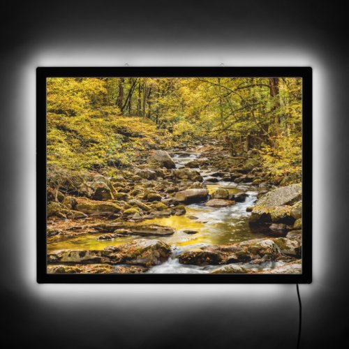 Great Smoky Mountains National Park Big Creek LED Sign