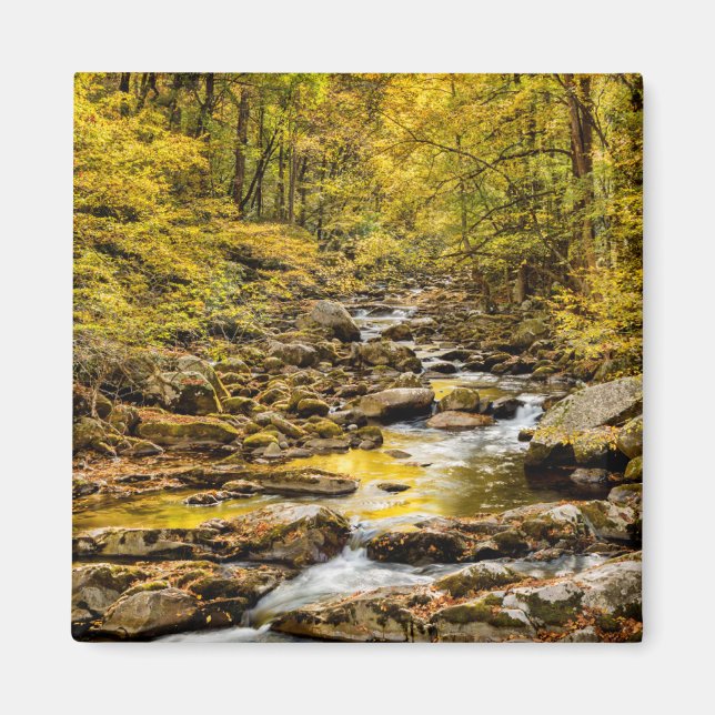 Great Smoky Mountains National Park. Big Creek Magnet (Front)
