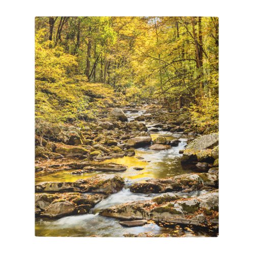 Great Smoky Mountains National Park Big Creek Metal Print