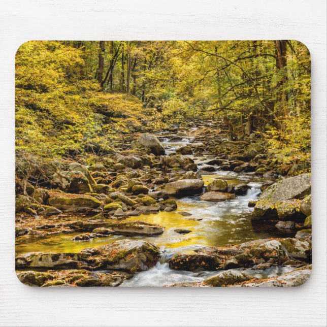 Great Smoky Mountains National Park. Big Creek Mouse Pad (Front)