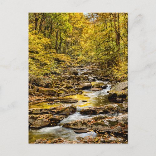 Great Smoky Mountains National Park Big Creek Postcard