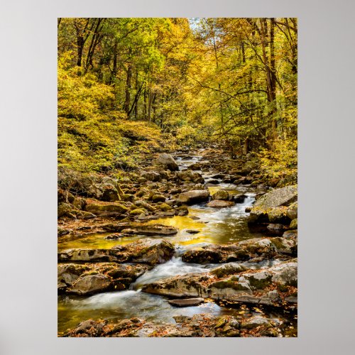 Great Smoky Mountains National Park Big Creek Poster