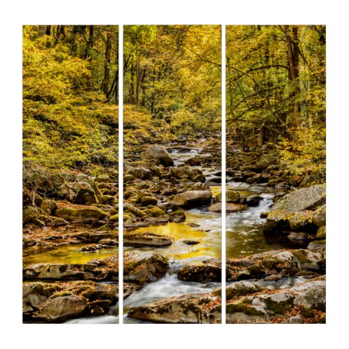 Great Smoky Mountains National Park Big Creek Triptych