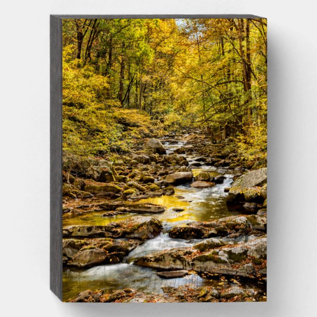 Great Smoky Mountains National Park. Big Creek Wooden Box Sign (Front Vertical)
