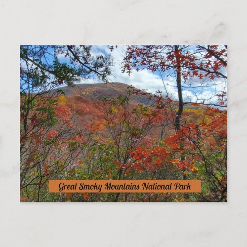 Great Smoky Mountains National Park Fall Foliage Postcard