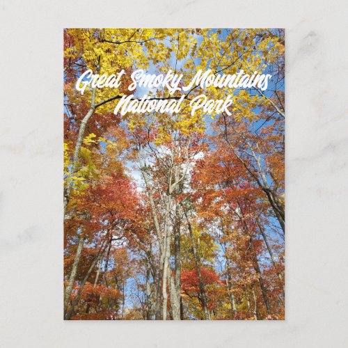 Great Smoky Mountains National Park Fall Leaves Postcard