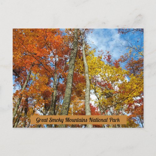 Great Smoky Mountains National Park Fall Leaves Postcard