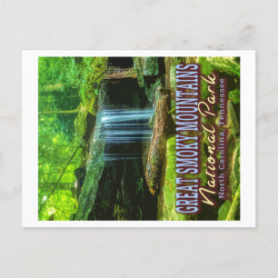 GREAT SMOKY MOUNTAINS NATIONAL PARK - NC - TN POSTCARD