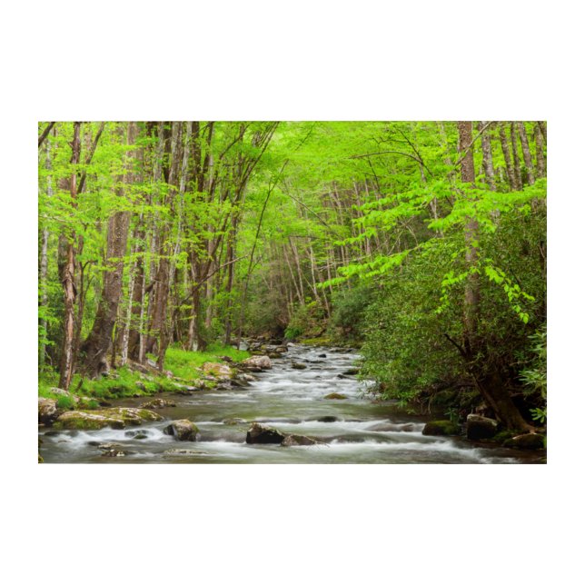 Great Smoky Mountains National Park North Carolina Acrylic Print (Front)