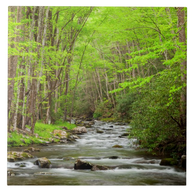 Great Smoky Mountains National Park North Carolina Ceramic Tile (Front)