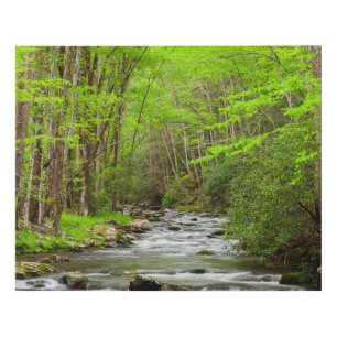 Great Smoky Mountains National Park North Carolina Faux Canvas Print
