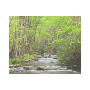 Great Smoky Mountains National Park North Carolina Gallery Wrap