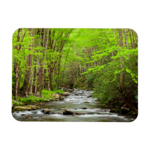 Great Smoky Mountains National Park North Carolina Magnet