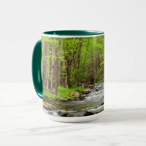 Great Smoky Mountains National Park North Carolina Mug