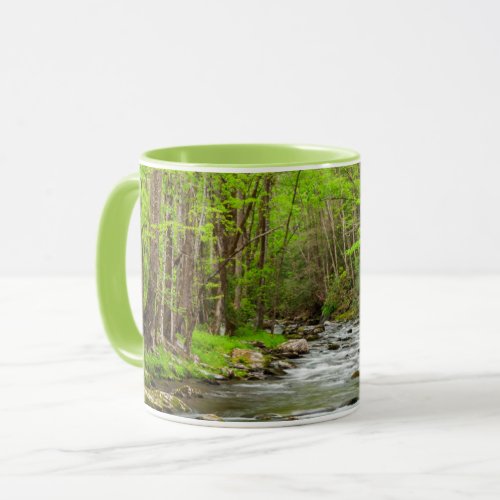 Great Smoky Mountains National Park North Carolina Mug