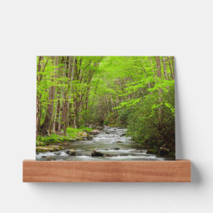 Great Smoky Mountains National Park North Carolina Picture Ledge
