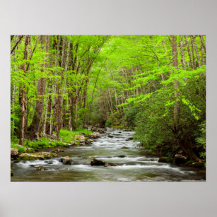 Great Smoky Mountains National Park North Carolina Poster