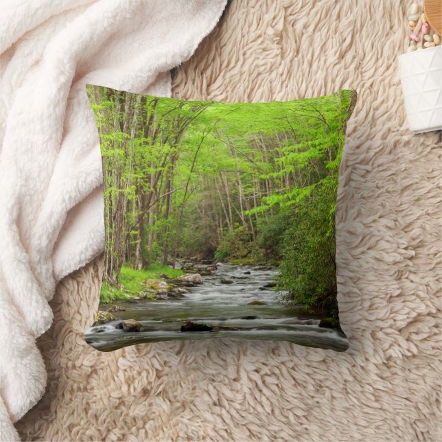 Great Smoky Mountains National Park North Carolina Throw Pillow (Blanket)
