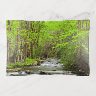 Great Smoky Mountains National Park North Carolina Trinket Tray