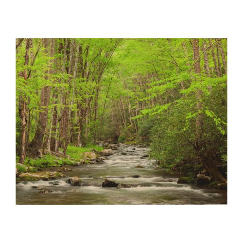 Great Smoky Mountains National Park North Carolina Wood Wall Art