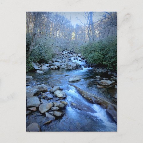 Great Smoky Mountains National Park Postcard