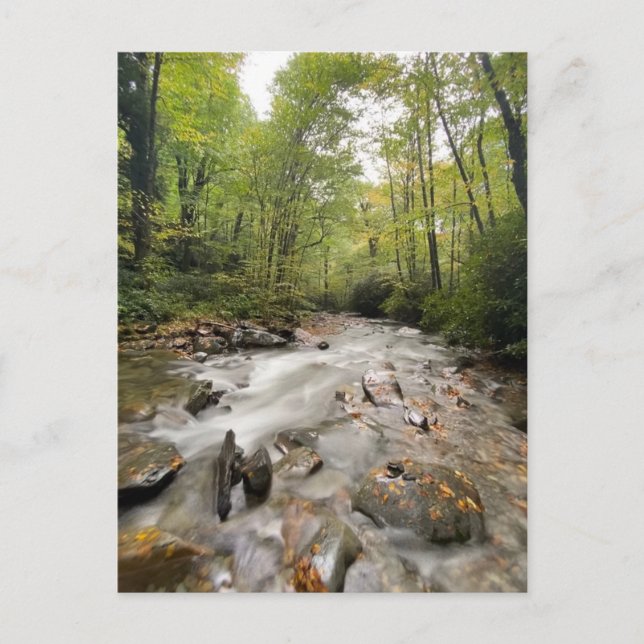 Great Smoky Mountains National Park, Tennessee Postcard (Front)