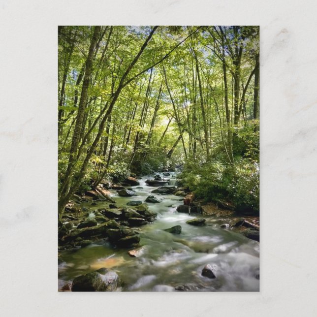 Great Smoky Mountains National Park, Tennessee Postcard (Front)