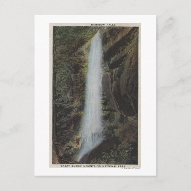 Great Smoky Mountains National Park, TN Postcard (Front)