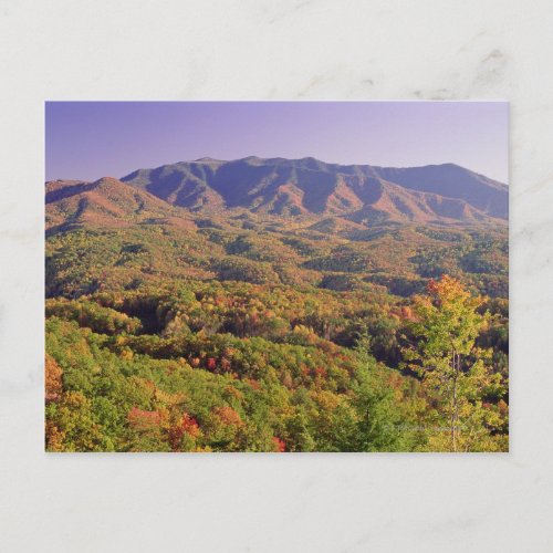 Great Smoky Mountains NP Tennessee USA Postcard