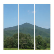 Great Smoky Mountains Overview 