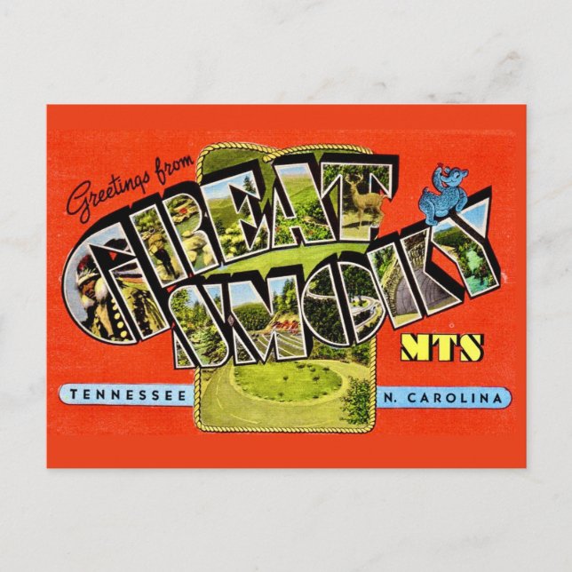  Great Smoky Mountains Postcard (Front)