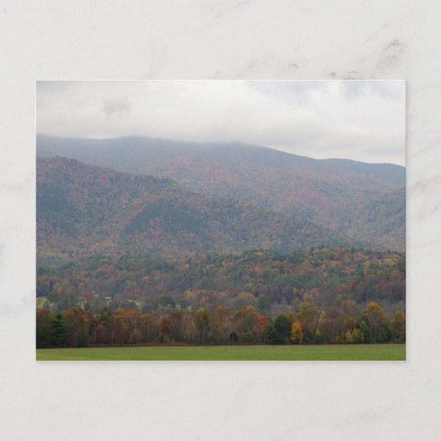Great Smoky Mountains Postcard (Front)