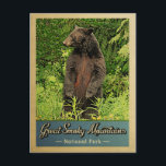 Great Smoky Mountains Postcard National Park Bear<br><div class="desc">Vintage travel style Great Smoky Mountains National Park image featuring a black bear standing on its hind legs,  looking into the green forest.</div>