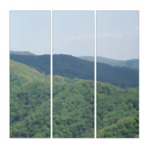 Great Smoky Mountains Scene 