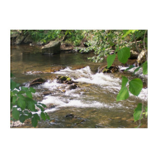 Great Smoky Mountains Stream  Acrylic Print