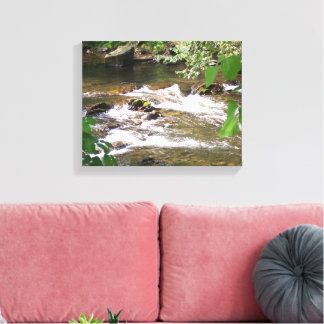 Great Smoky Mountains Stream  Canvas Print