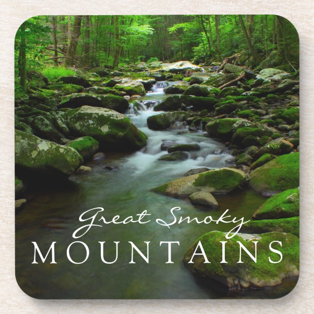 Great Smoky Mountains Stream Watefall Tremont Area Beverage Coaster (Front)