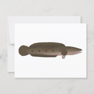 Great Snakehead Postcard