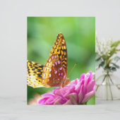 Great Spangled Fritillary (Standing Front)