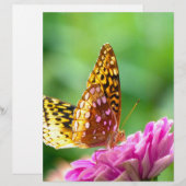 Great Spangled Fritillary (Front/Back)