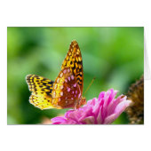 Great Spangled Fritillary (Front Horizontal)
