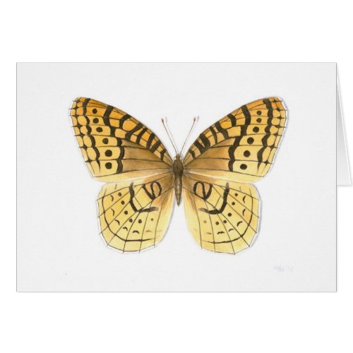 Great Spangled Fritillary Butterfly Card