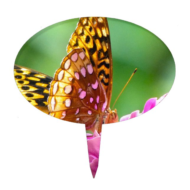 Great Spangled Fritillary Cake Topper (Front)
